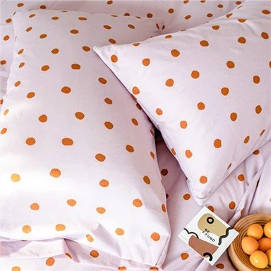 کاٹن پرنٹ شدہ تکیہ کیس