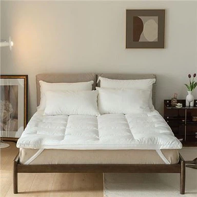 گوز ڈاون فیدر بیڈ ٹاپر