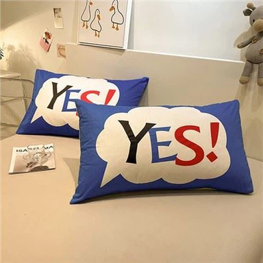 پالئیےسٹر پرنٹنگ تکیہ کیس